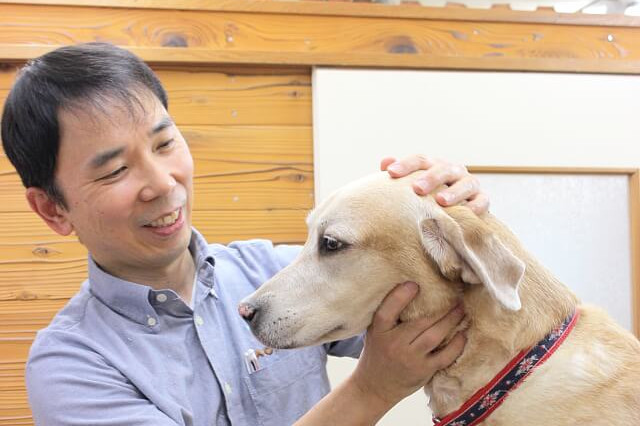 MOMOどうぶつ病院 MOMOどうぶつ病院