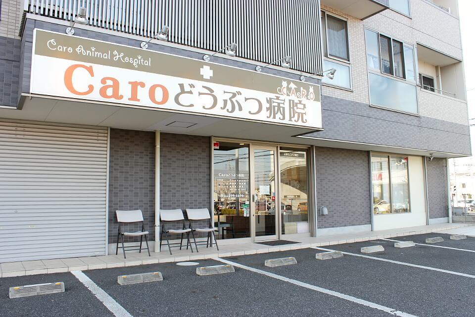 Caroどうぶつ病院 Caroどうぶつ病院