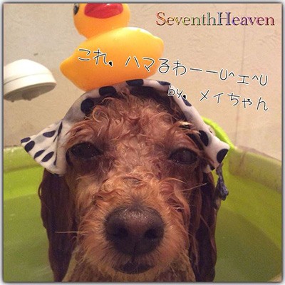 Seventh Heaven Seventh Heaven