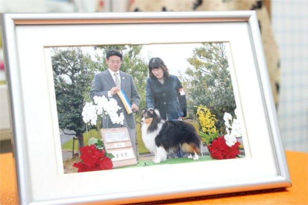 犬心*わんはぁと 寅桜庵
