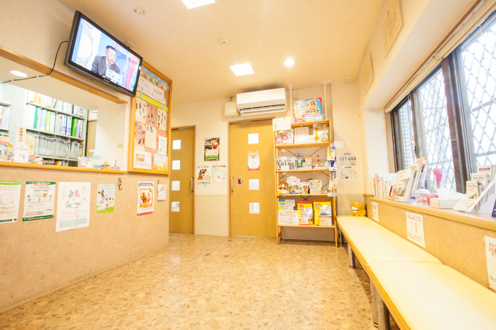 学が丘動物病院(トリミング) 学が丘動物病院(トリミング)