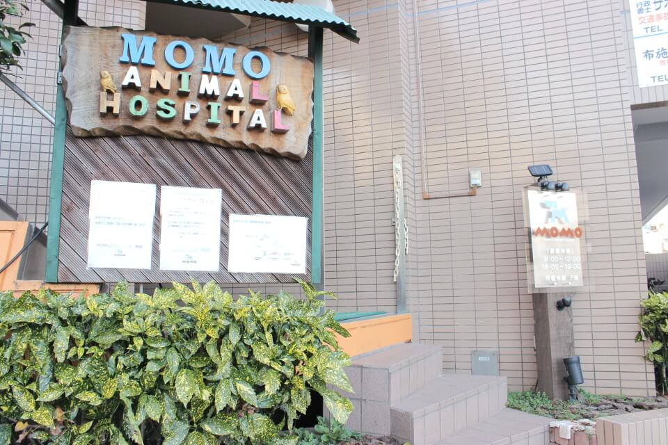 MOMOどうぶつ病院 MOMOどうぶつ病院