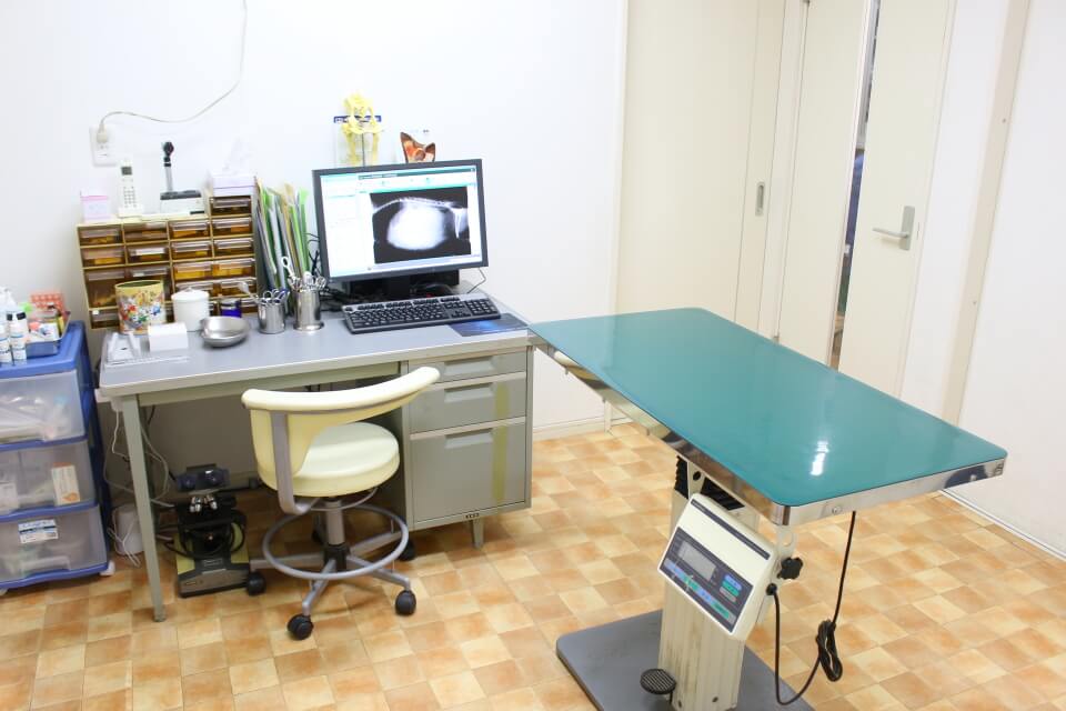 城山動物病院 城山動物病院