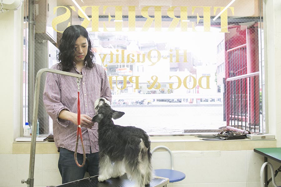 DOG's PRO SHOP TERRIER'S(テリアス)目黒店 DOG's PRO SHOP TERRIER'S(テリアス)目黒店