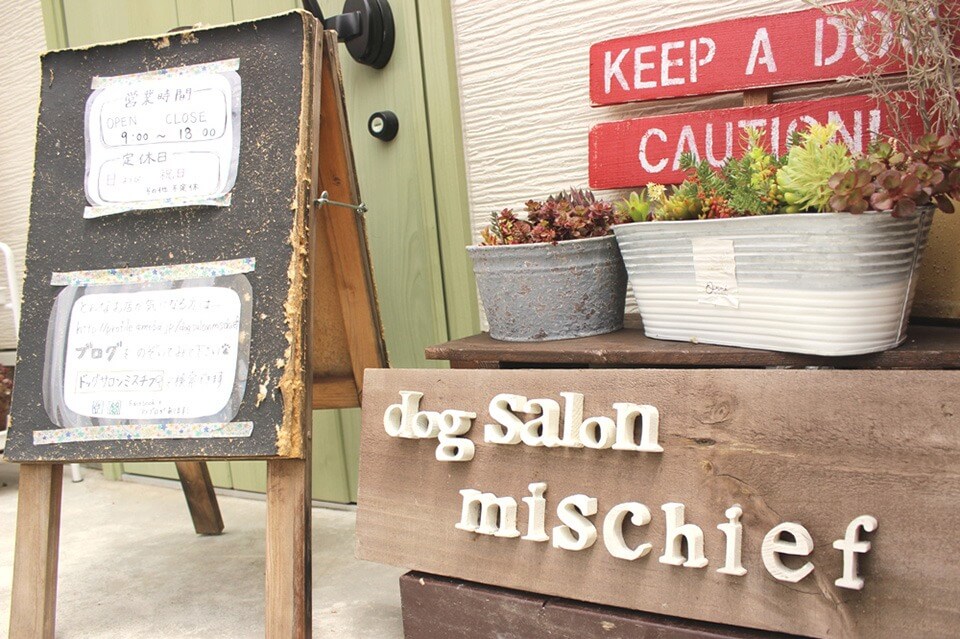 dog salon mischief dog salon mischief