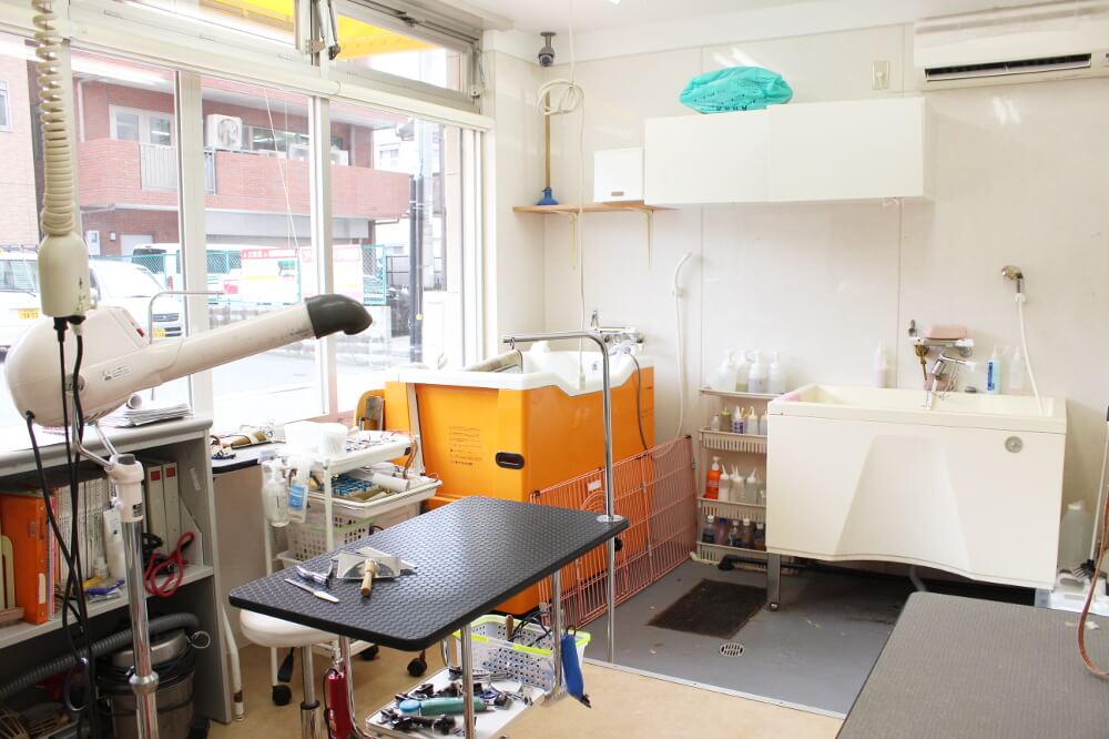 Dog Salon Cradle(クレイドル) Dog Salon Cradle(クレイドル)