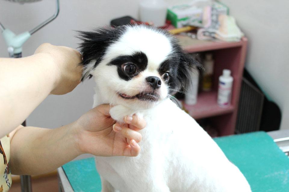 画像説明 画像説明