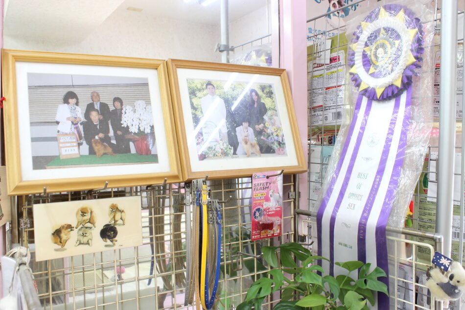 愛犬美容室じゅん 愛犬美容室じゅん