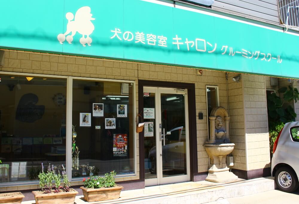 犬の美容室 キャロン 犬の美容室 キャロン