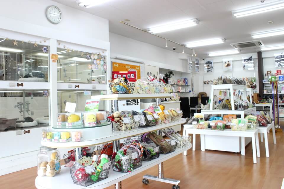 ペットステーション ハセガワ ペットステーション ハセガワ