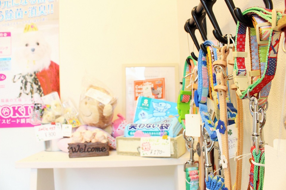 Dog salon ANELA Dog salon ANELA