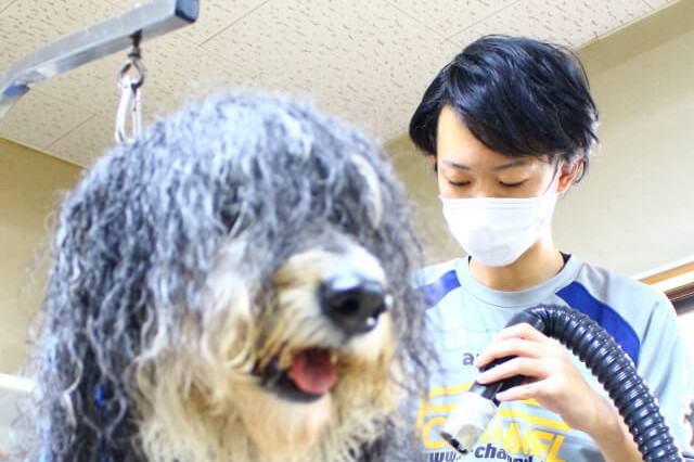 画像説明 画像説明