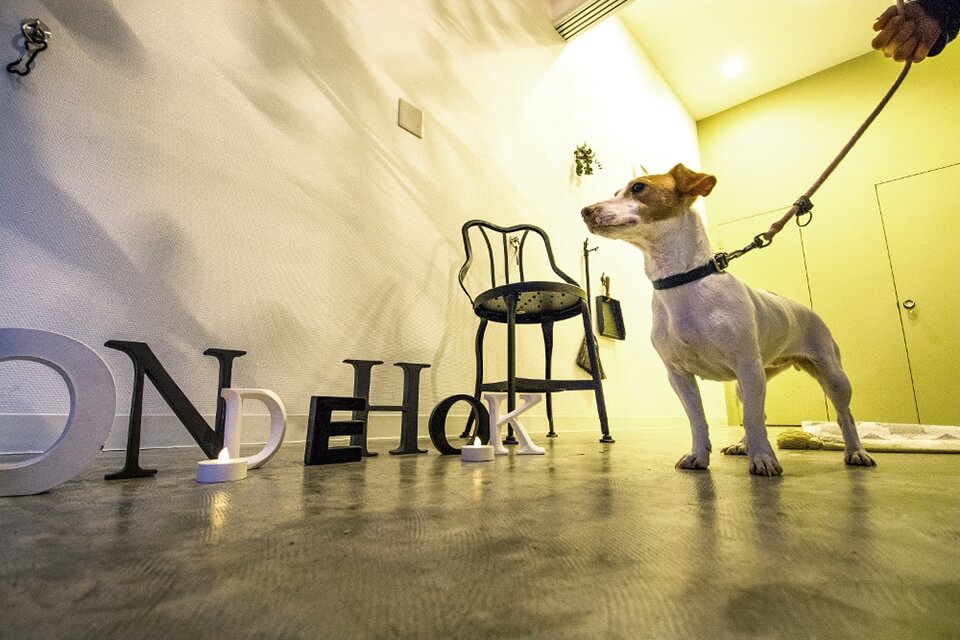 HONDEHOK(ホンデホック) 目黒不動店 HONDEHOK(ホンデホック) 目黒不動店
