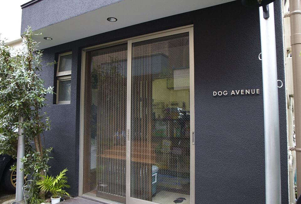 DOG AVENUE DOG AVENUE