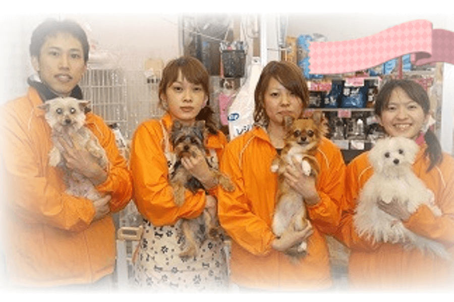ペット・はうす 中宮店 ペット・はうす 中宮店
