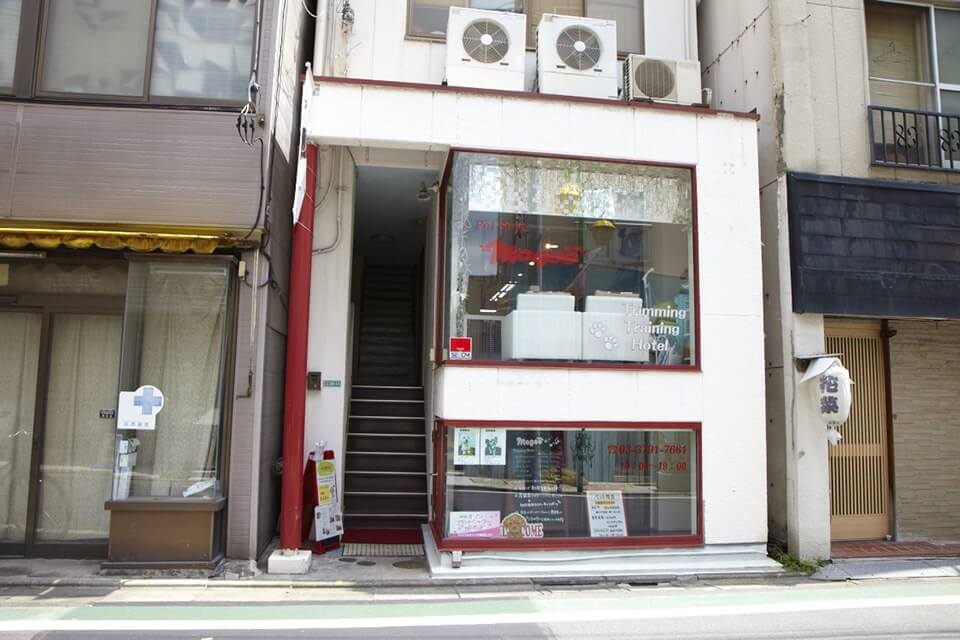 Pet shop mogoo Pet shop mogoo