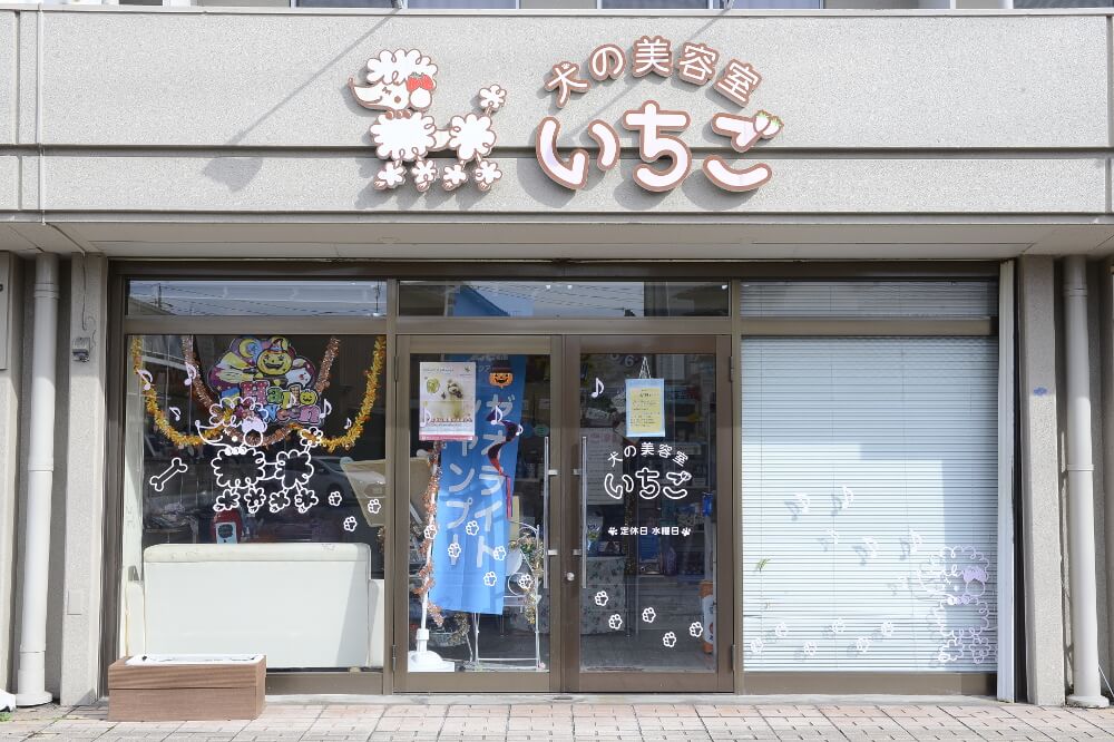 犬の美容室 いちご 中川本店 犬の美容室 いちご 中川本店