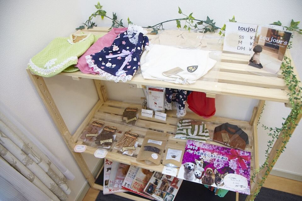 Trimming salon igusa(イグサ) Trimming salon igusa(イグサ)