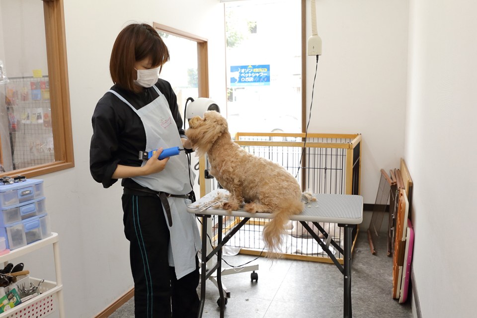 Dog Note(ドッグノート) Dog Note(ドッグノート)