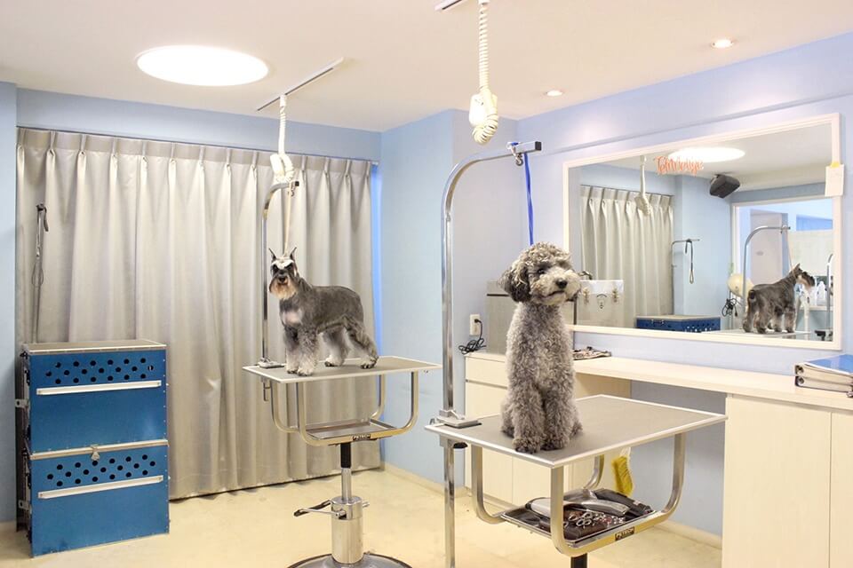 TeRRIeRge 浦安店 TeRRIeRge 浦安店