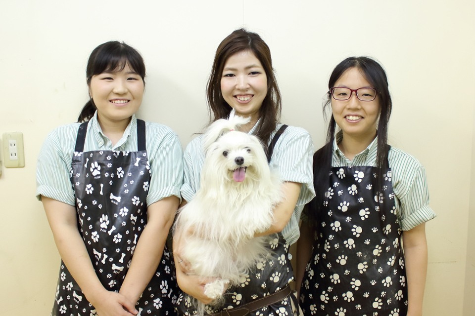 ペットプラザ江東深川店 ペットプラザ江東深川店