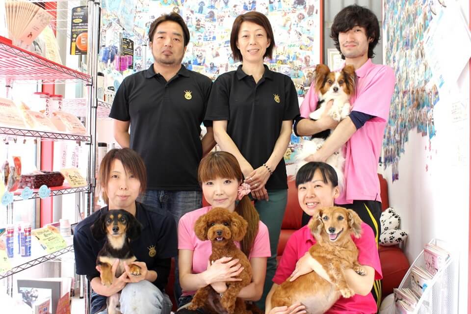 画像説明 画像説明