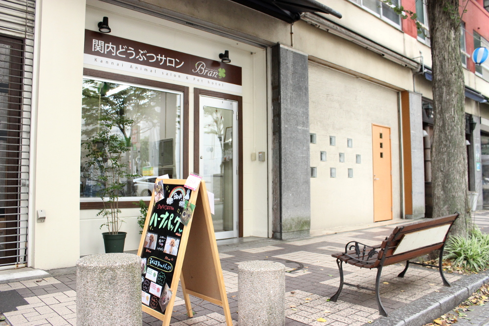 関内どうぶつサロンBran(ブラン) 関内どうぶつサロンBran(ブラン)