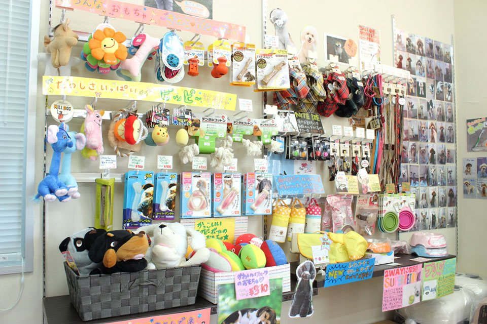 ペットビレッジ府中中河原店 ペットビレッジ府中中河原店