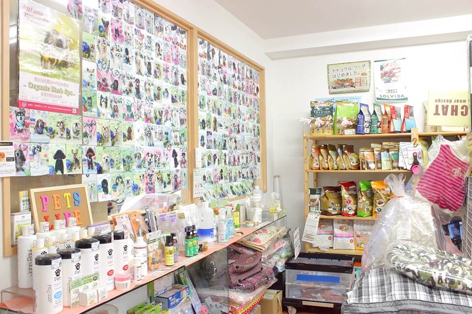 画像説明