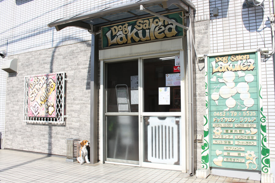Dog salon La kule'a Dog salon La kule'a