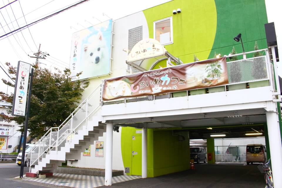 トリミングサロンアラモード 流山店 トリミングサロンアラモード 流山店