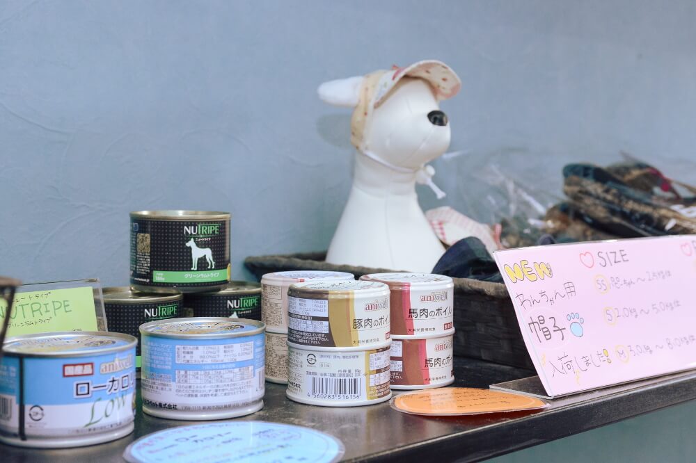 犬の美容室 いちご 中村店 犬の美容室 いちご 中村店