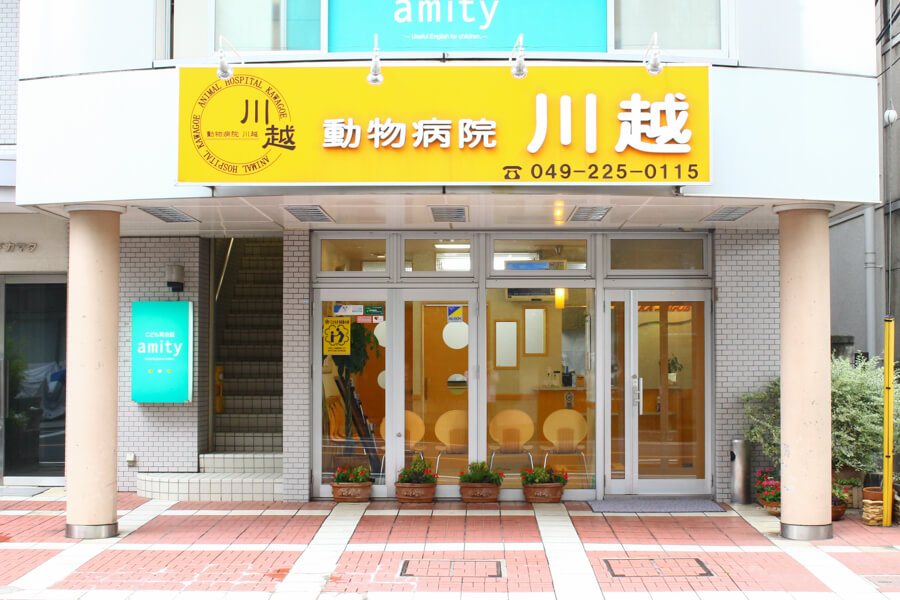 画像説明 画像説明