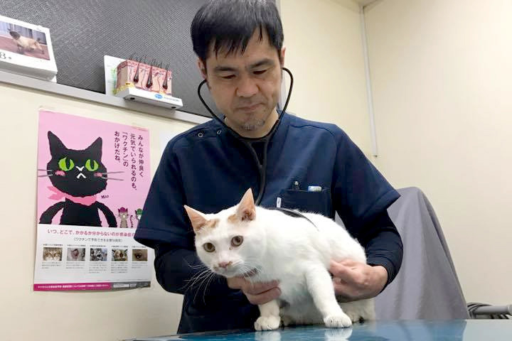 ワトソン動物病院 ワトソン動物病院