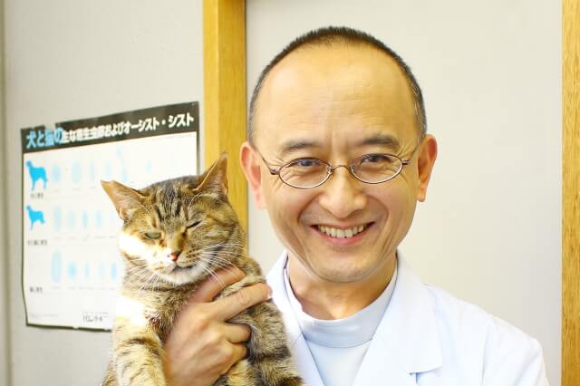 佐々木動物病院 佐々木動物病院