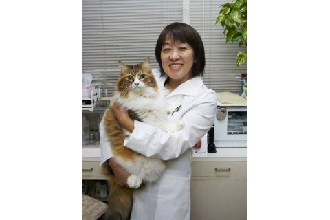 岡本動物病院 岡本動物病院