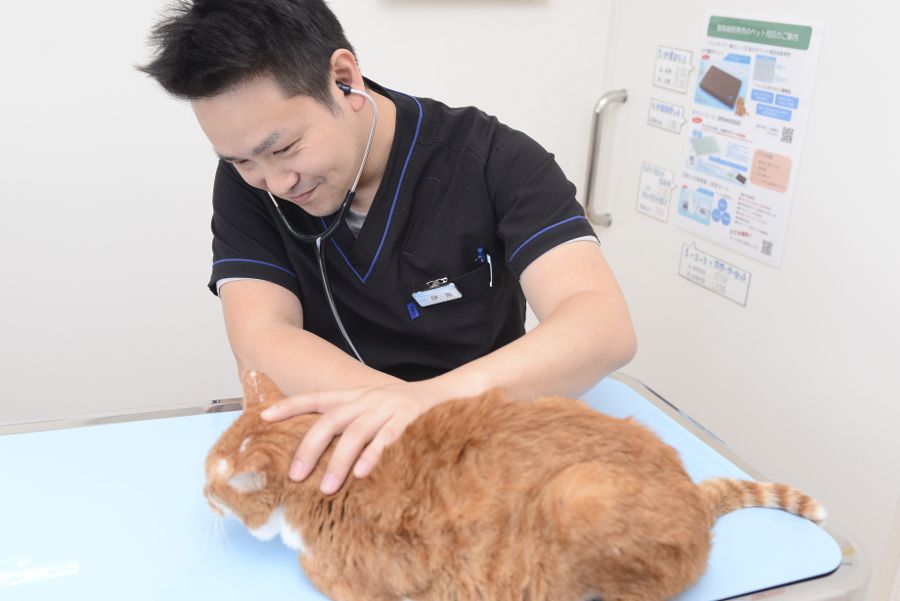 山科みやこ動物病院 山科みやこ動物病院