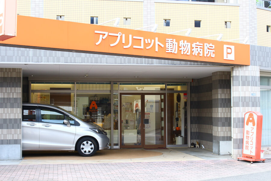 アプリコット動物病院 アプリコット動物病院