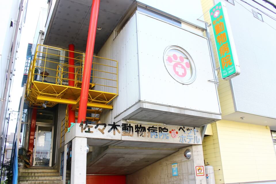 佐々木動物病院 佐々木動物病院