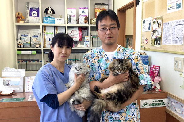 画像説明 画像説明
