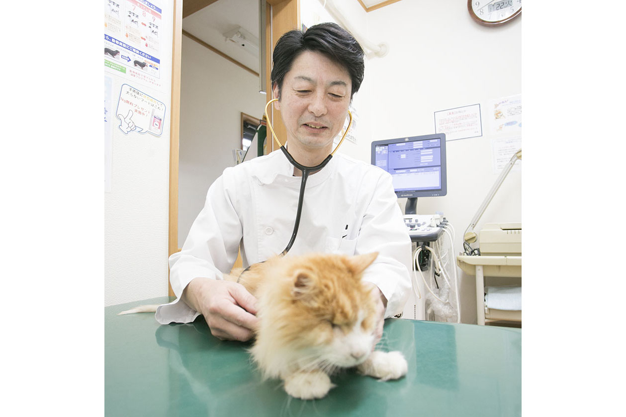 ちだペットクリニック ちだペットクリニック
