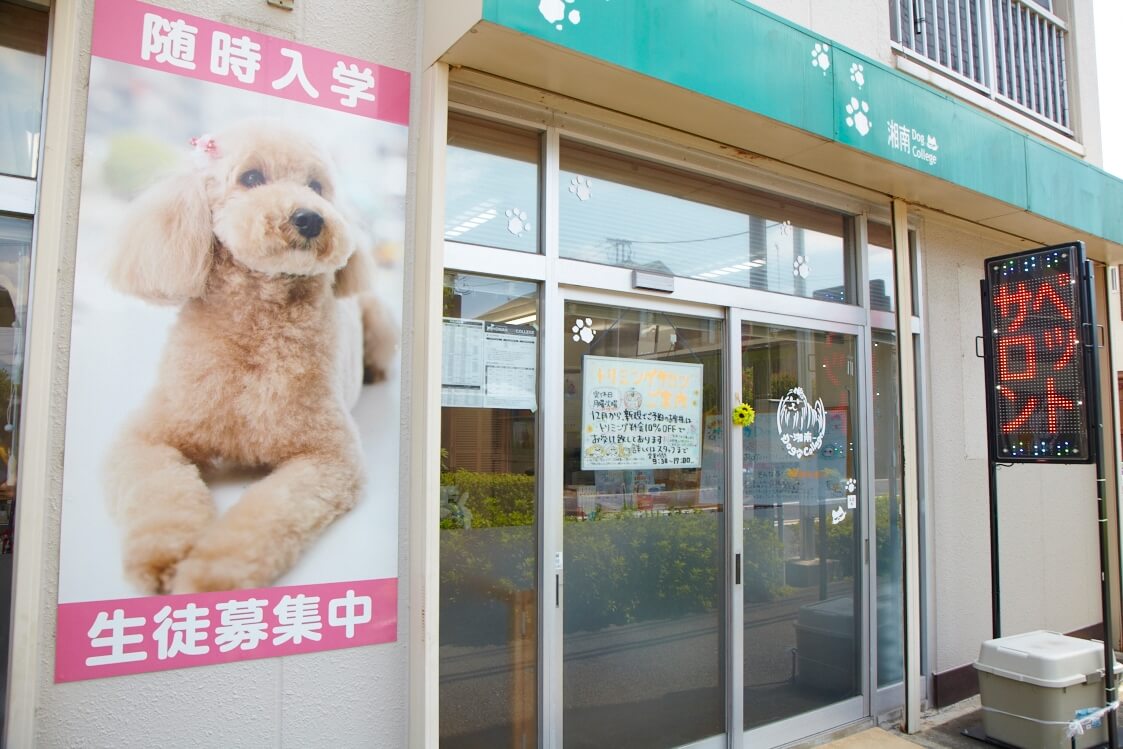 画像説明 画像説明
