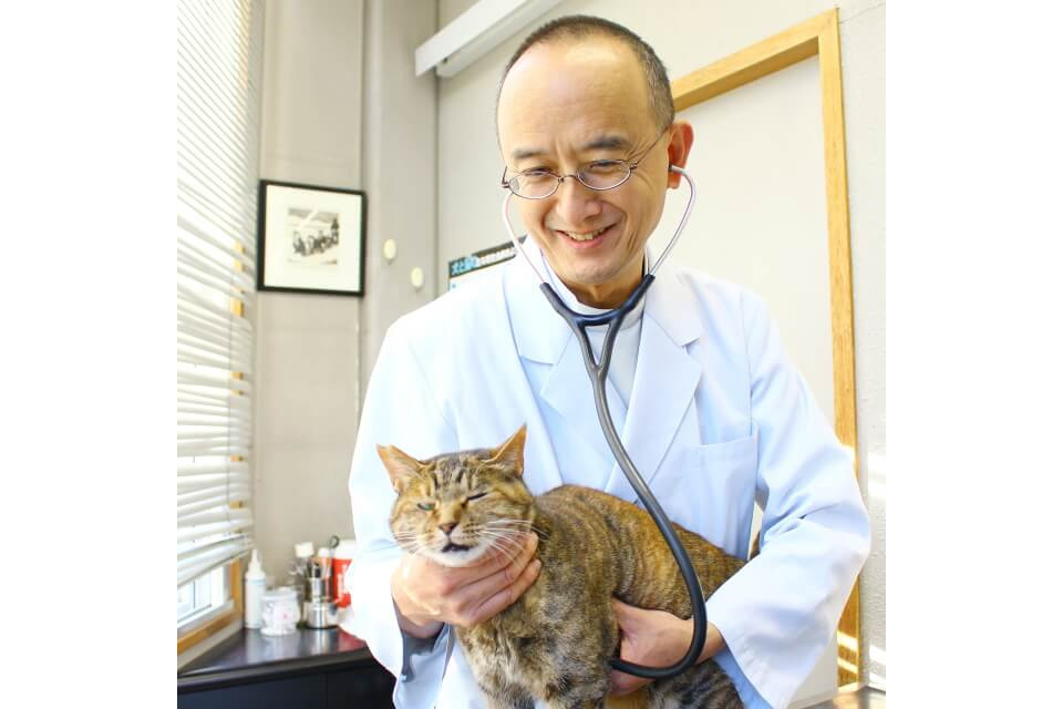 画像説明 画像説明