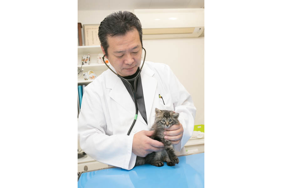 むつあい動物病院 むつあい動物病院