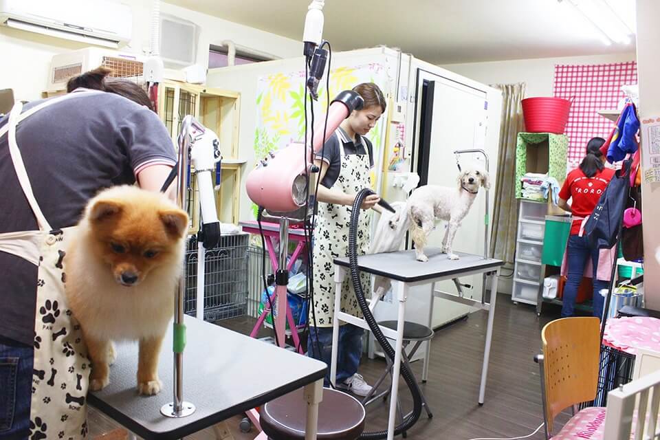 Cafe’de RoRo & DOGS (カフェ デ ロロ) くずは店 Cafe’de RoRo & DOGS (カフェ デ ロロ) くずは店