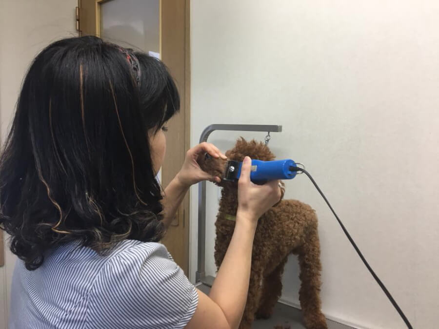 Tiny moco ケンネル Tiny moco ケンネル