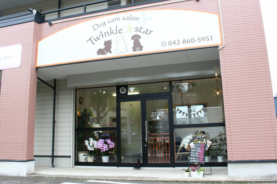 Twinkle star Twinkle star