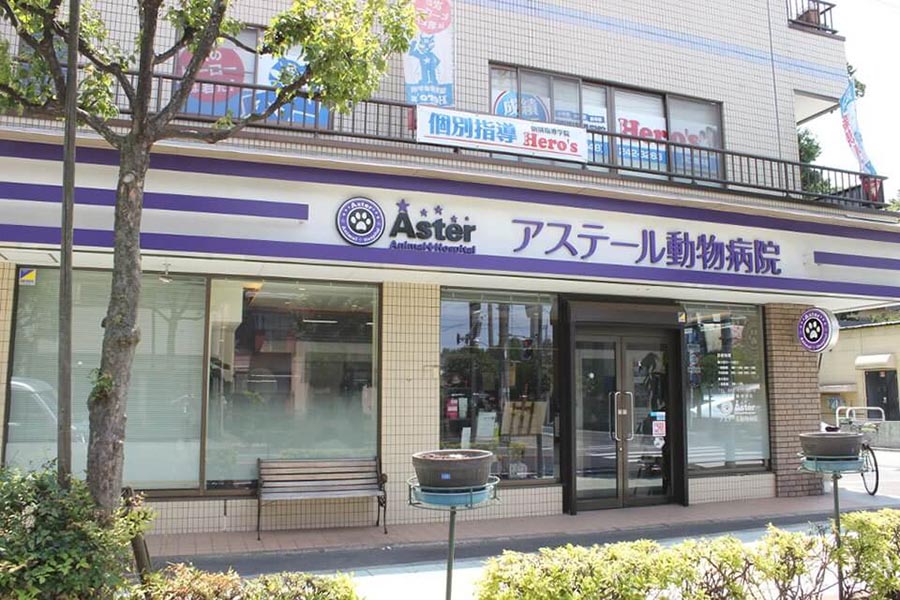 アステール動物病院(トリミング) アステール動物病院(トリミング)