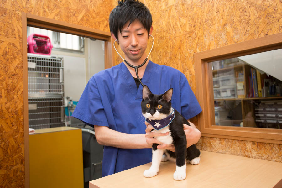 SyuSyu CAT Clinic SyuSyu CAT Clinic