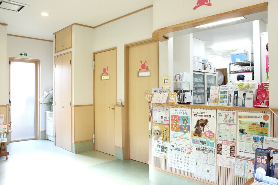 森田動物医療センター 森田動物医療センター